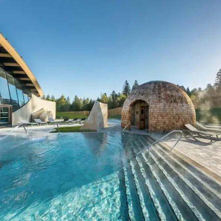 아파트 L'europ'appart - Cosy - Gare - Center Parcs -st Croix *