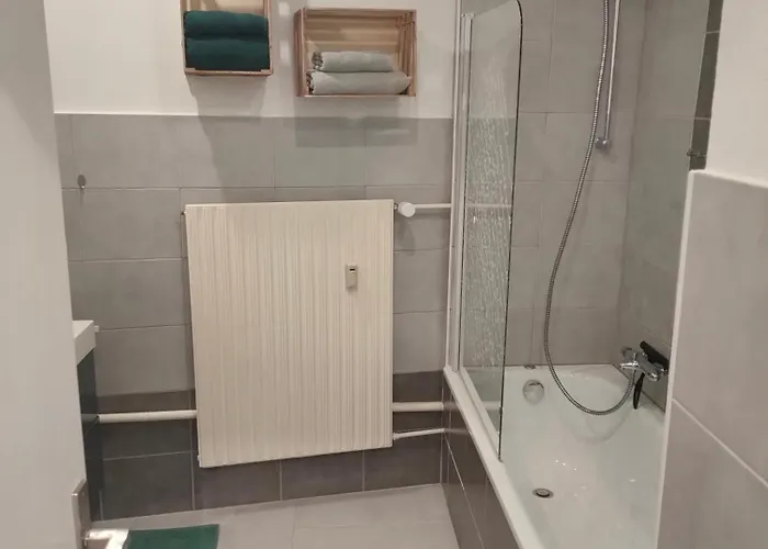 L'europ'appart - Cosy - Gare - Center Parcs -st Croix * Sarrebourg