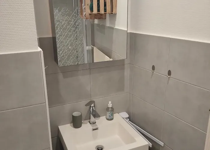 Apartamento L'europ'appart - Cosy - Gare - Center Parcs -st Croix Sarrebourg