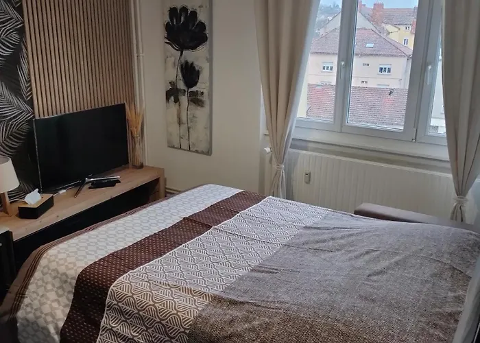 L'europ'appart - Cosy - Gare - Center Parcs -st Croix *